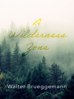 cover image of A Wilderness Zone